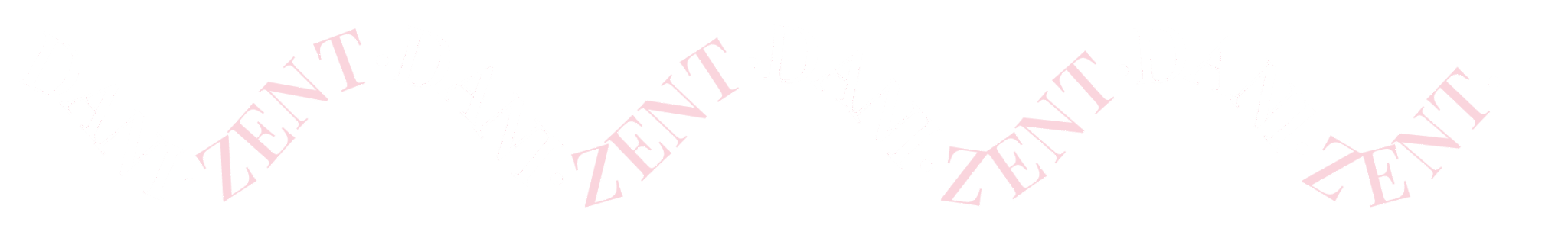 Dani-zent-2048x308-1